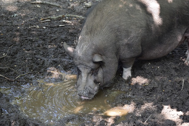 上海女足无缘全运会铜牌，水庆霞：我要负主要责任
