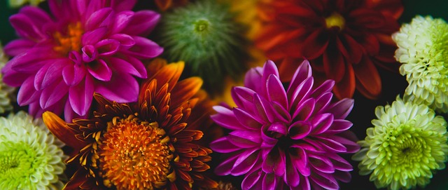 加拉塔萨雷有意租借梅西？罗马诺：梅西没考虑转会