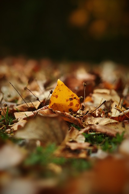 来了一系列 来了一系列