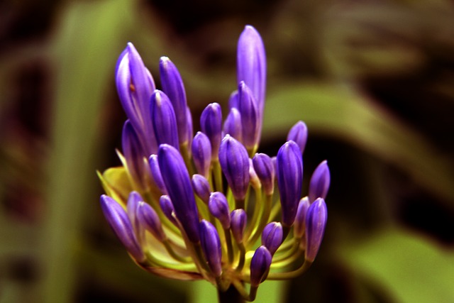 速调整状态 速调整状态